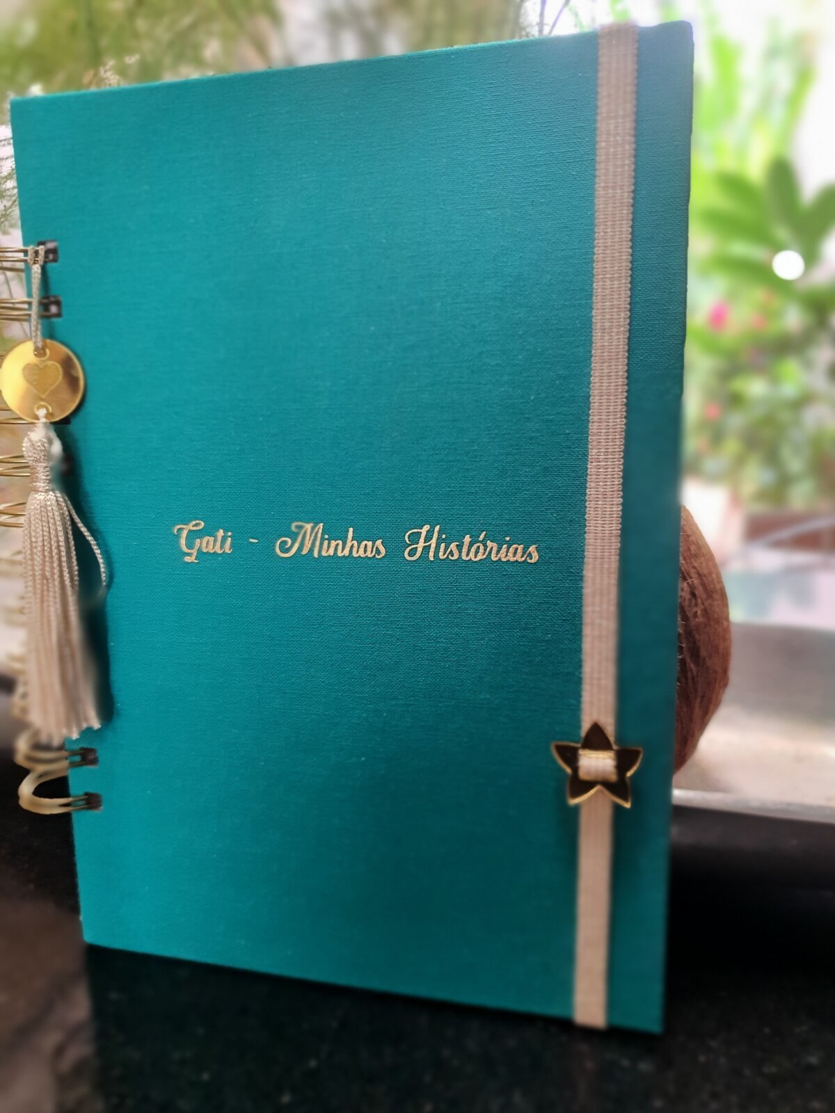 Álbum de Memórias